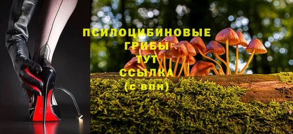 дживик Алексеевка