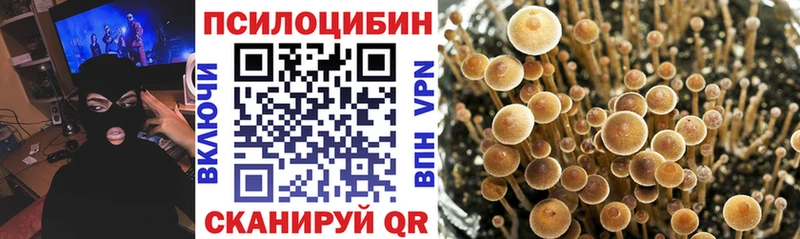 Псилоцибиновые грибы прущие грибы  блэк спрут ONION  Ермолино 